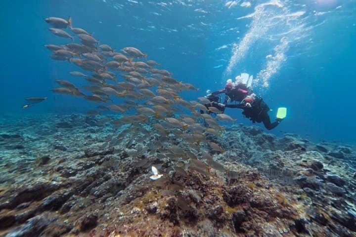 Tenerife Beginner Scuba Diving Experience with Photos and Videos