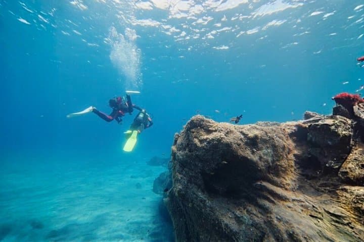 Tenerife Beginner Scuba Diving Experience with Photos and Videos
