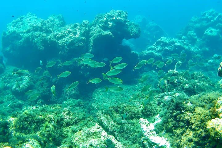 Ibiza Snorkeling Guided Tour of Caves and Crystal Waters