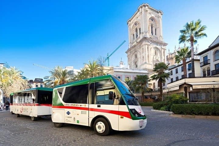 Granada Hop On Hop Off Tourist Train Ticket with Audio Guide