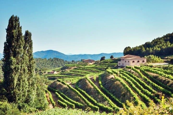 Customizable Wineries Tour Penedes and Priorat