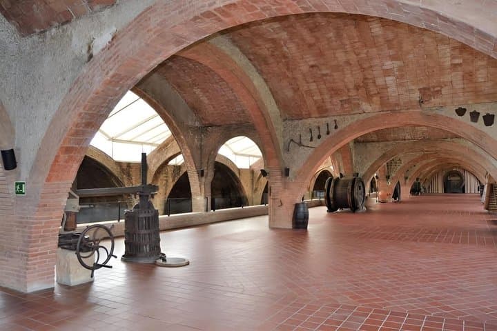 Customizable Wineries Tour Penedes and Priorat