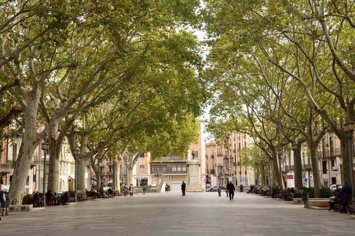 Hello Figueres: Private 2-Hour Intro City Walk with Local Guide