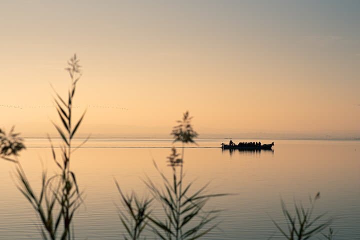 Albufera Natural Park Tour from Valencia: Boat Ride & Local Guide