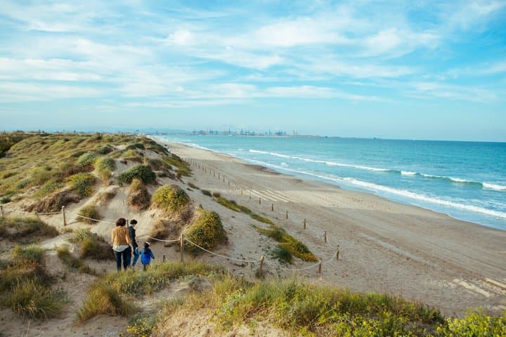 Albufera Natural Park Tour from Valencia: Boat Ride & Local Guide