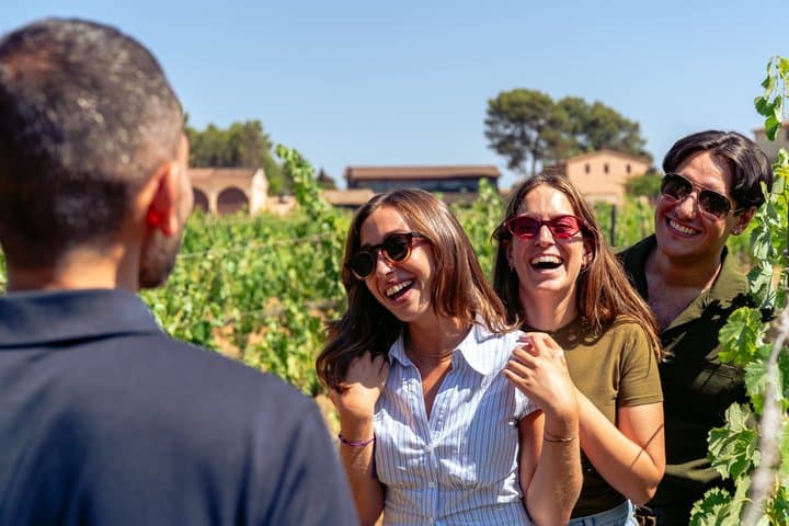 Montserrat, Wine & Gourmet Lunch with Views from Barcelona
