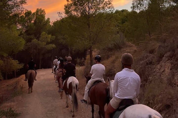 Horseback Riding Tour of Malaga Natural Park