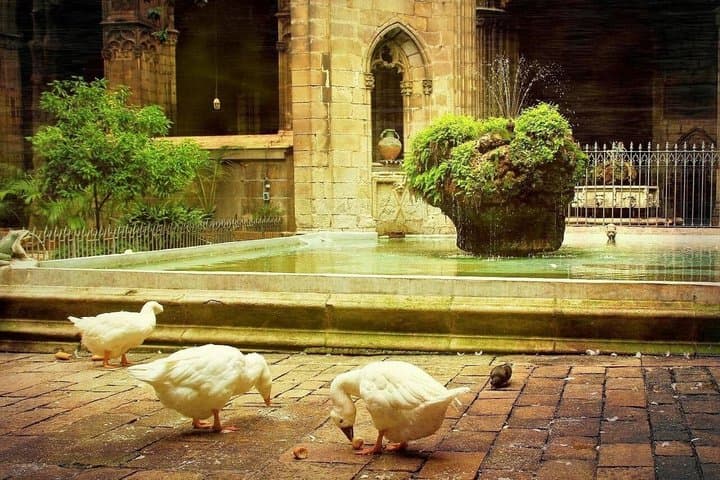 Barcelona Cathedral and Rooftop Access Ticket