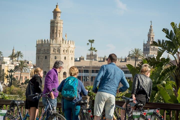 3-hour Guided Bike Tour along the Highlights of Seville