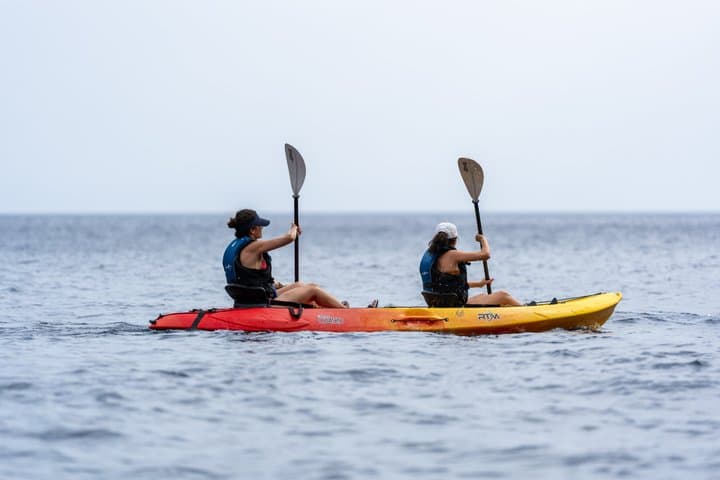 Kayak Discovery