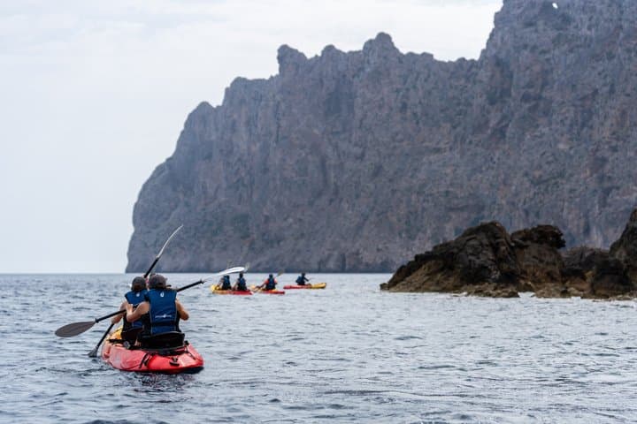 Kayak Discovery