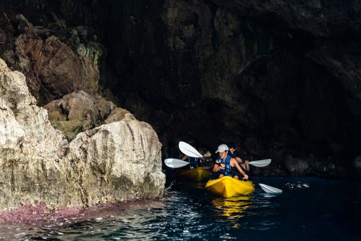 Kayak Discovery