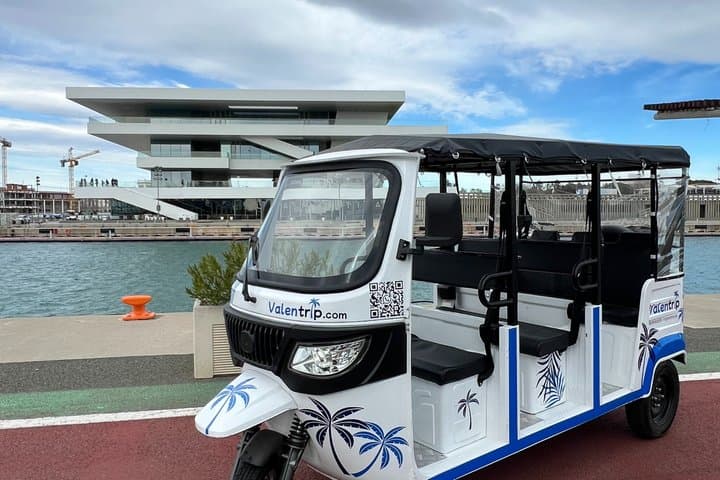 Tour Tuk Tuk Valencia 2h Discover History and Modernity