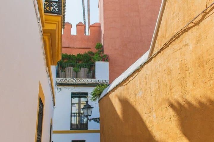 Cathedral, La Giralda and Santa Cruz Quarter Tour "Jewish"