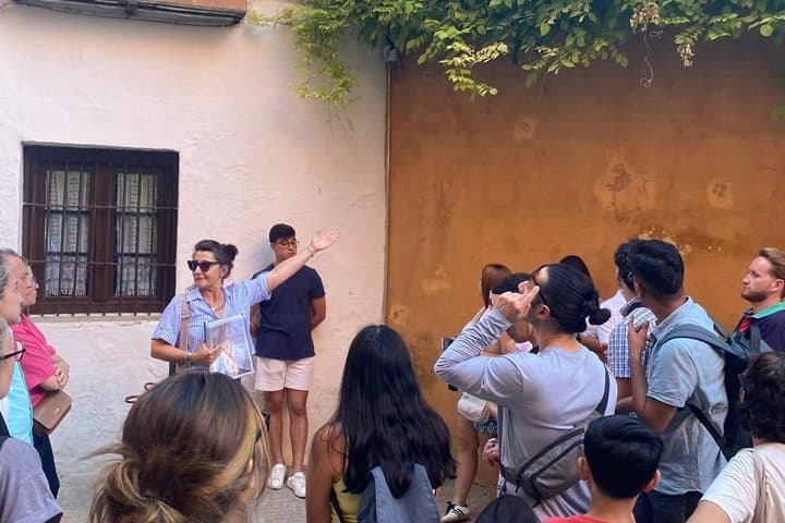 Cathedral, La Giralda and Santa Cruz Quarter Tour "Jewish"