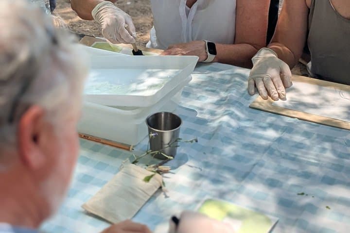 Cyanotype Nature Experience
