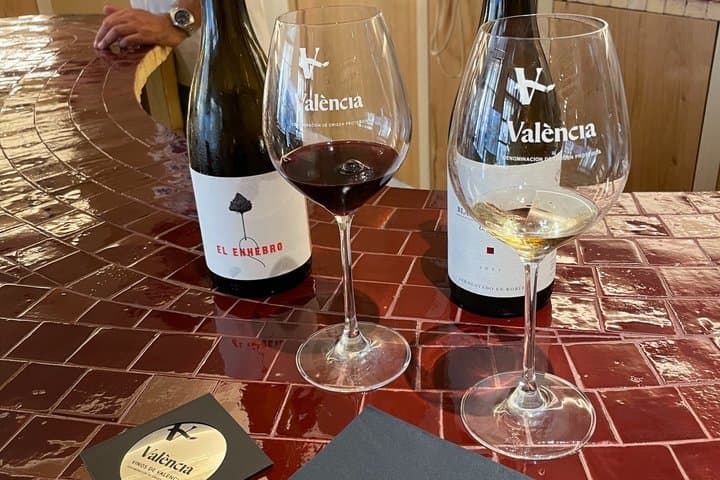 Wine tasting with 3 Valencia wines in the Valencia Wine Control Council