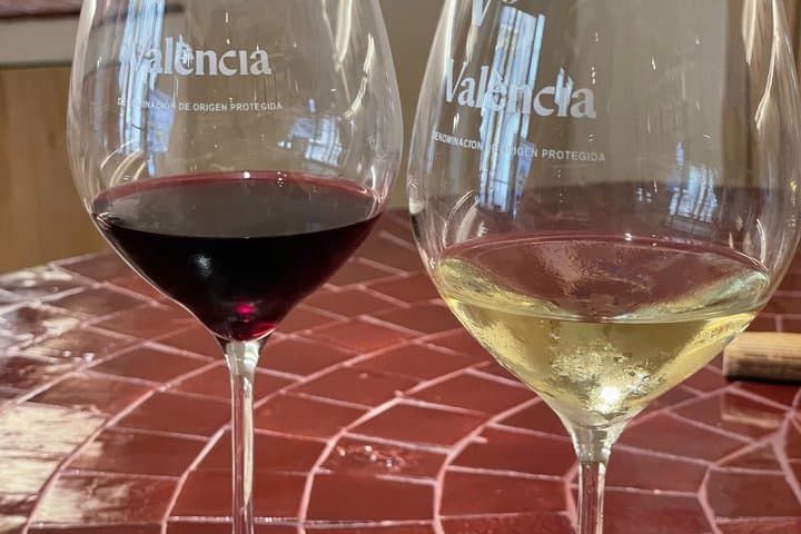 Wine tasting with 3 Valencia wines in the Valencia Wine Control Council
