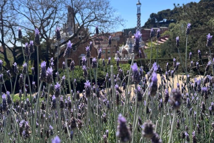 Park Güell Mystery: A Gaudí Treasure Hunt