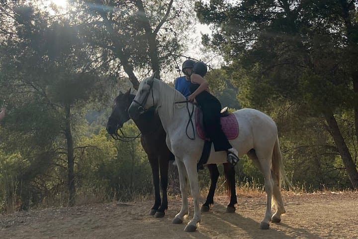 Horseback Riding Tour of Malaga Natural Park