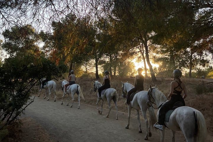 Horseback Riding Tour of Malaga Natural Park
