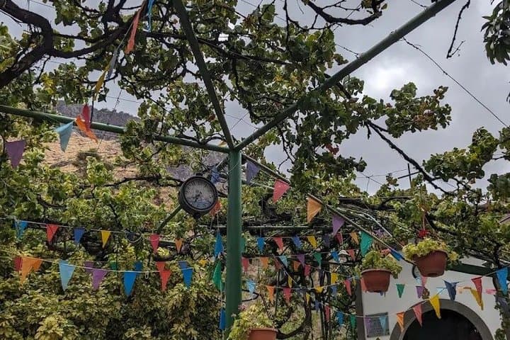 Gran Canaria:Agaete Coffee Plantation, Wine Tasting & Garden Tour