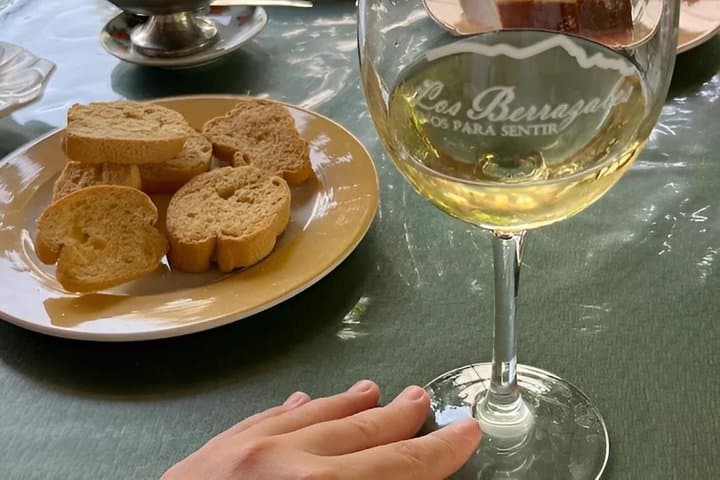 Gran Canaria:Agaete Coffee Plantation, Wine Tasting & Garden Tour