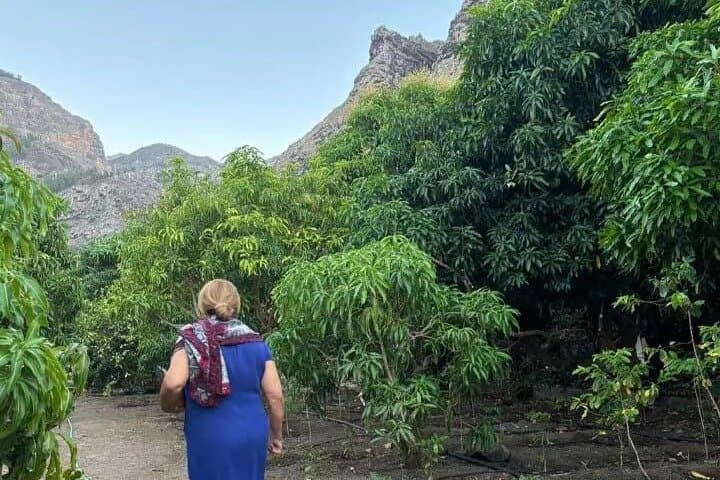 Gran Canaria:Agaete Coffee Plantation, Wine Tasting & Garden Tour