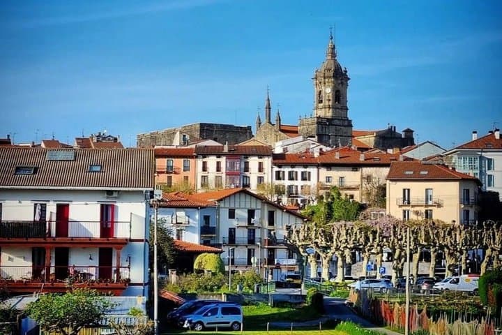 Private Tour: Txakoli Winery and Pintxos Route in Hondarribia