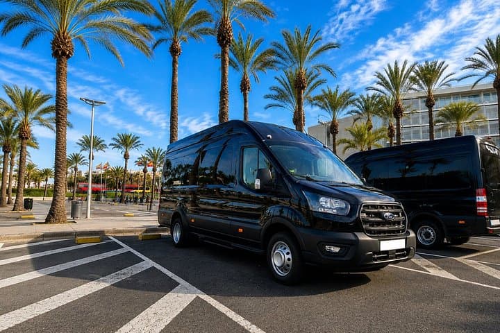 Best of Mallorca Valldemossa Soller and Tramuntana Villages Tour