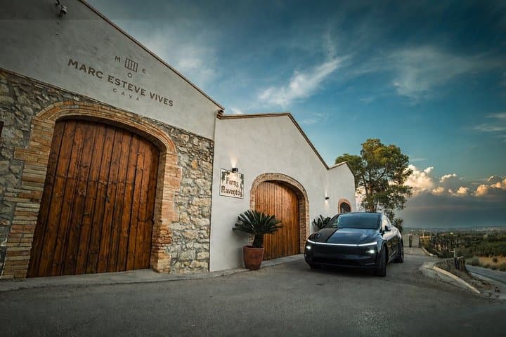 Private Montserrat Tour and Winery With Brunch From Barcelona