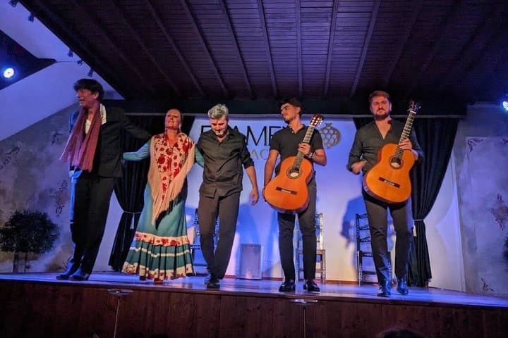 Flamenco Show at Palacio Granada