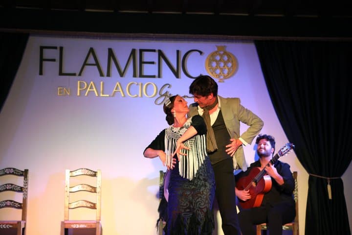 Flamenco Show at Palacio Granada