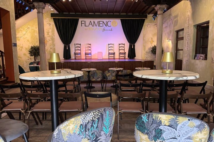 Flamenco Show at Palacio Granada