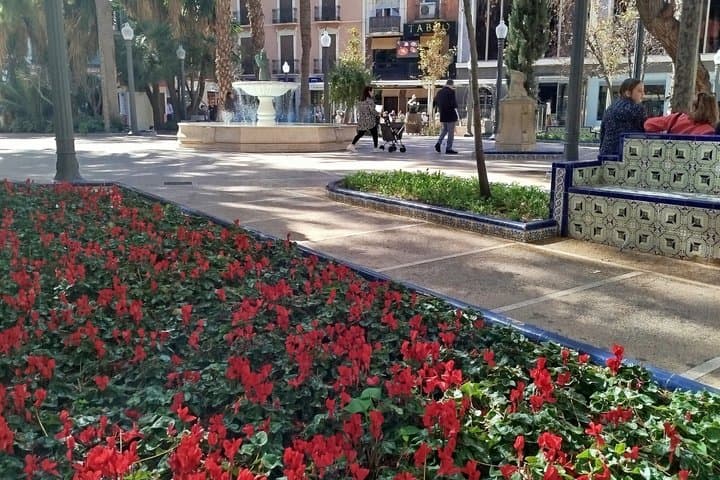Elche Walking Tour UNESCO Palm Grove Heritage Local Traditions