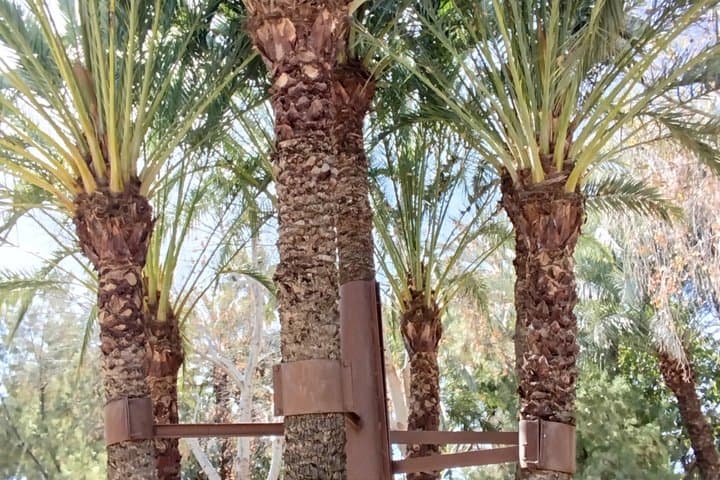 Elche Walking Tour UNESCO Palm Grove Heritage Local Traditions