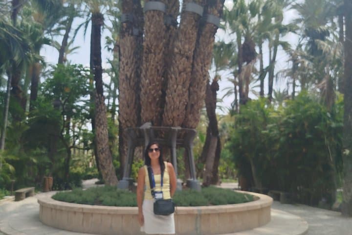 Elche Walking Tour UNESCO Palm Grove Heritage Local Traditions