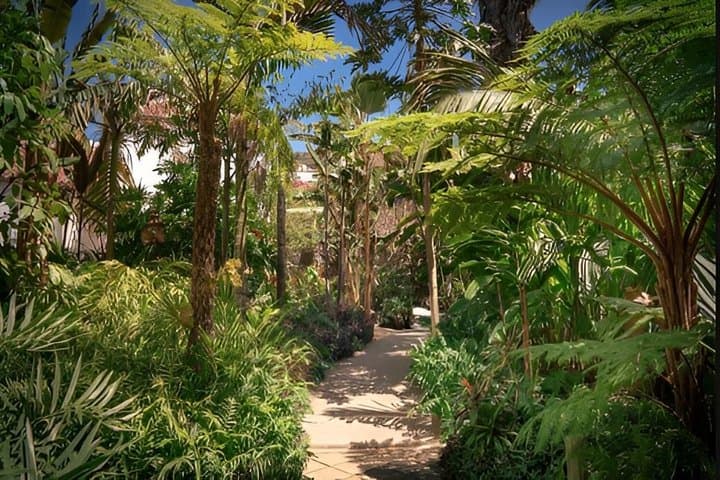 La Palma Private Tazacorte Walking Tour
