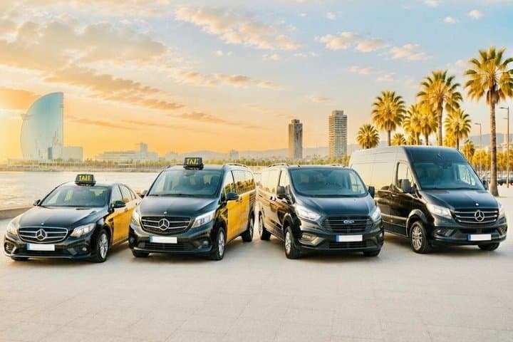 Private Transfer from Barcelona Cruise Port to Airport