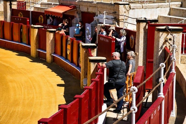 Private Guided Tour of the Bullring of Malagueta