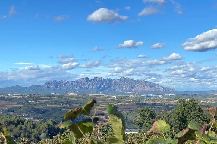 Montserrat & best winery private tour experience with a local expertise