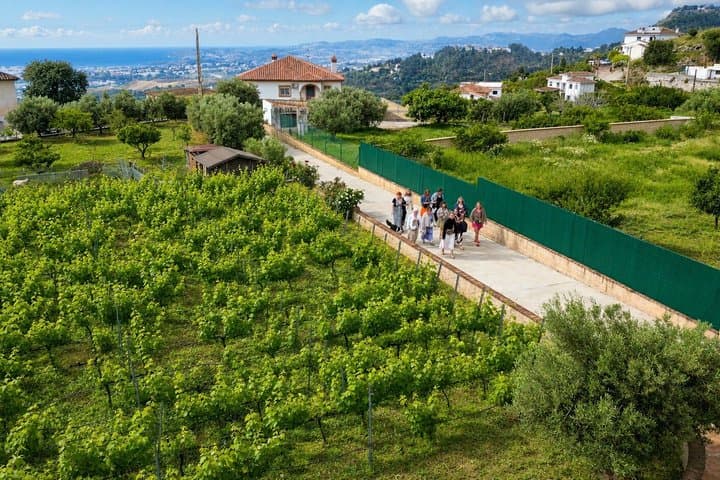 Malaga Organic Vineyard & Winery: 6 Wines, 2 Oils & Transfer
