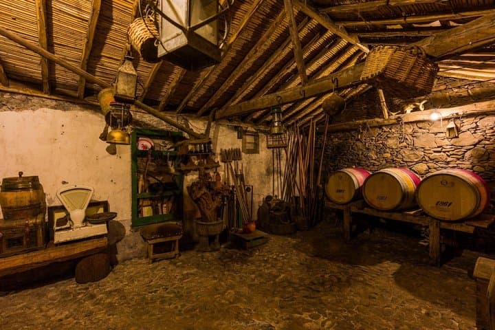 La Gomera Family Winery Visit with Wine and Cheese Tasting