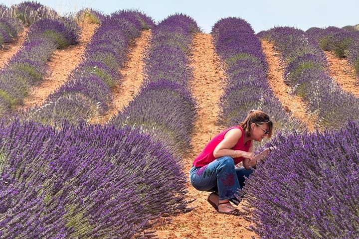 From Madrid: Cuenca and the Enchanted City A Natural Marvel