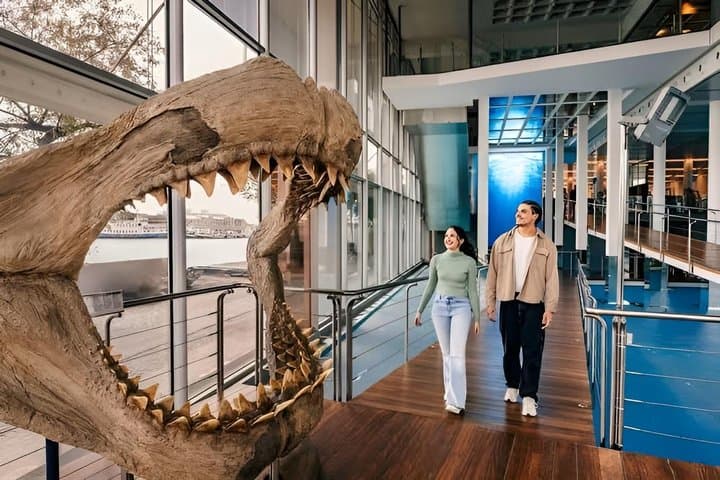 Skip the Line Barcelona Aquarium Admission Ticket
