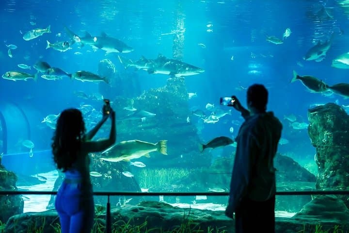 Skip the Line Barcelona Aquarium Admission Ticket
