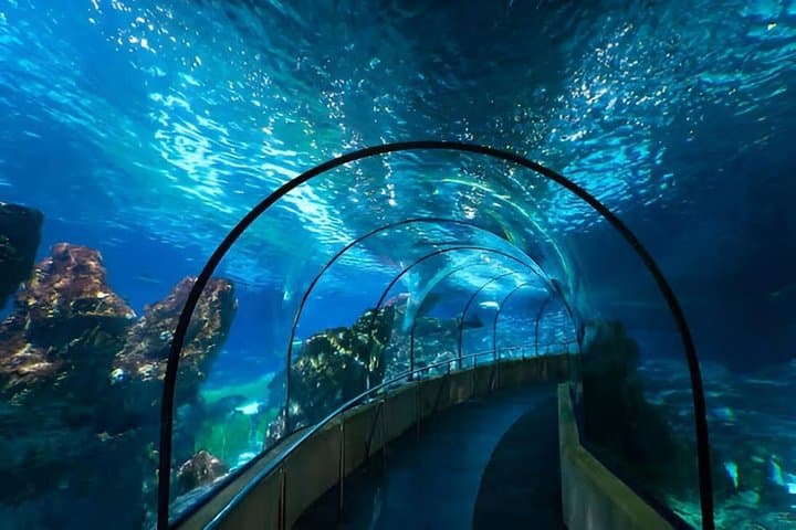 Skip the Line Barcelona Aquarium Admission Ticket