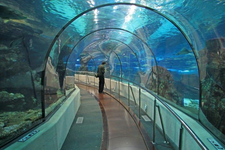 Skip the Line Barcelona Aquarium Admission Ticket