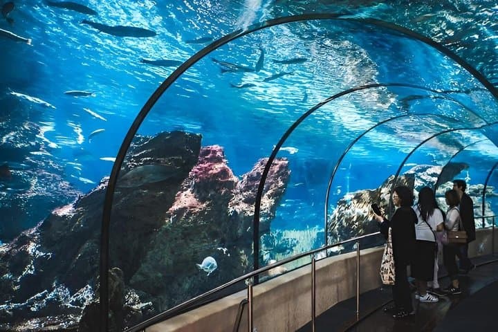 Skip the Line Barcelona Aquarium Admission Ticket
