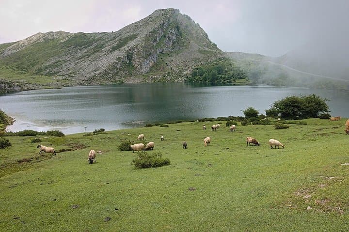 Private Tour of the Lakes of Covadonga and Cangas de Onís
